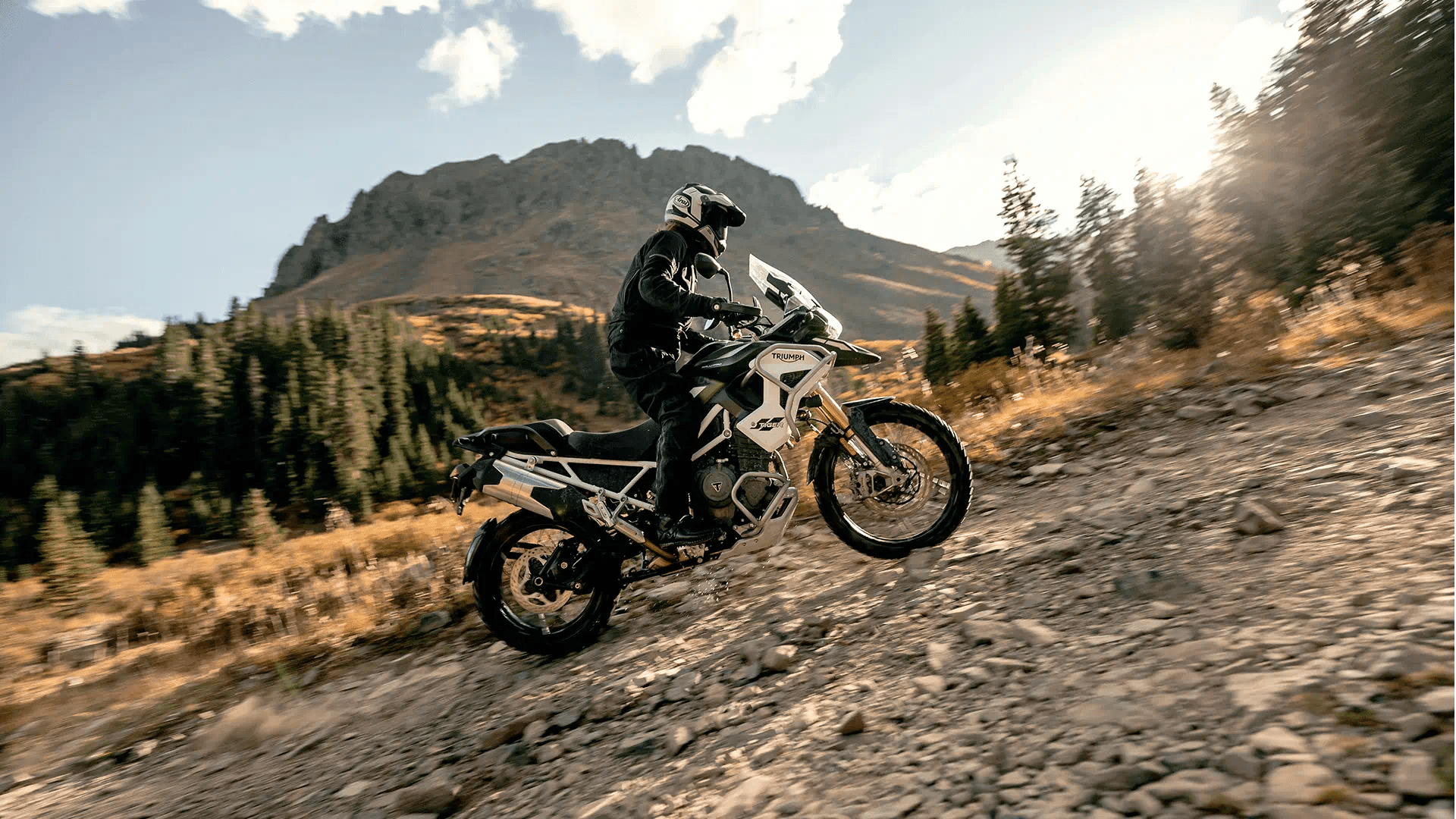 Triumph hot sale tiger deals